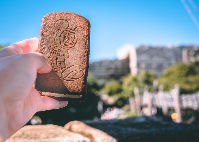 Pictured: Tiramisu Ice Cream Sandwich with Mickey imprint with Lost River Delta at DisneySea in background