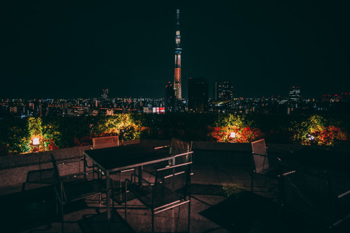 The roof terrace of the gate hotel with Tokyo Skytree in the distance