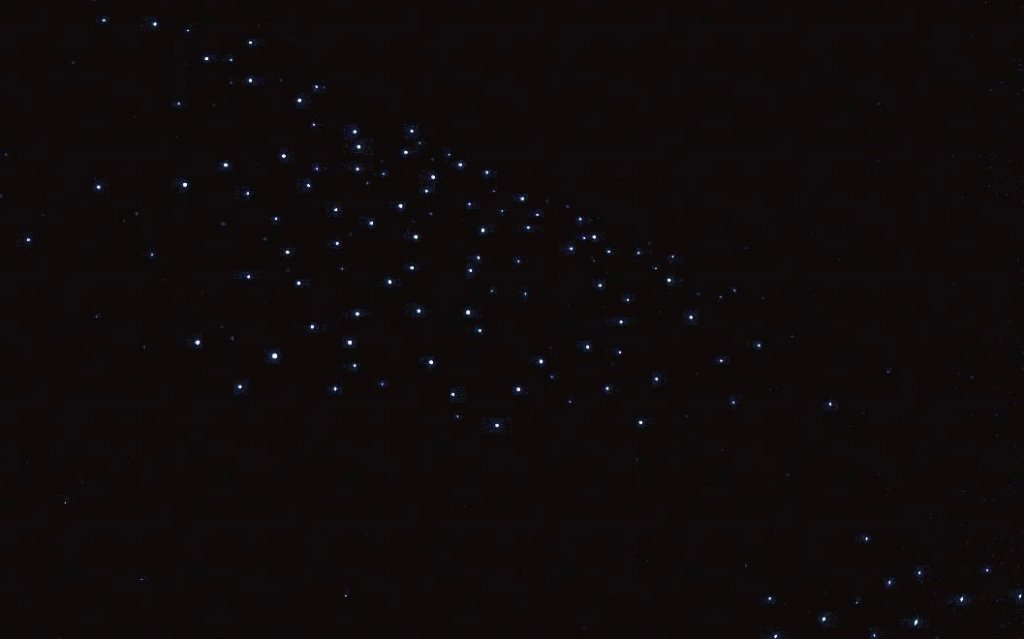 Glowworms twinkling overhead at the Ruakuri Cave tour experience In New Zealand
