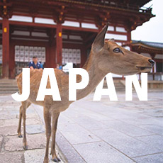 Deer outside a Temple in Nara with the word 'Japan' in text